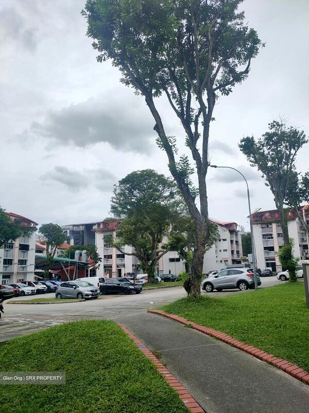 Hougang Avenue 1 (D19), Shop House #506311891